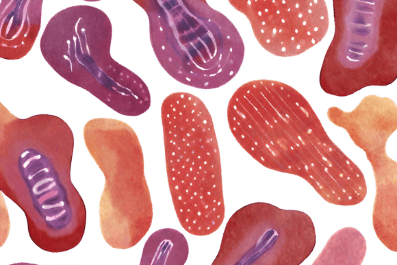 16 Intricate Cell Artwork Illustrations Review