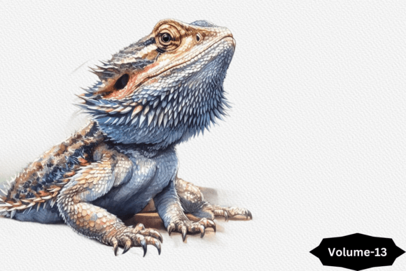 Bearded Dragon Watercolor Illustrations for Web