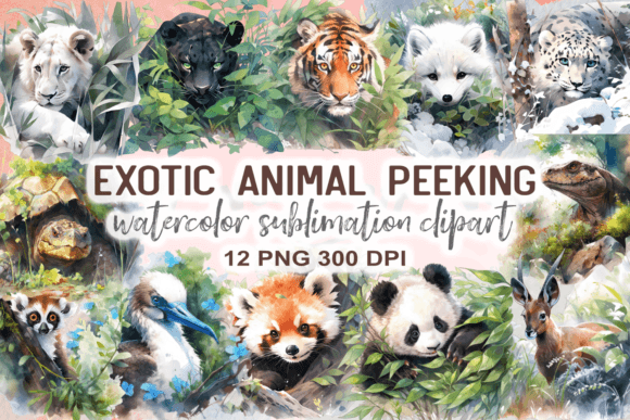 Exotic Animal Peeking Watercolor Illustrations