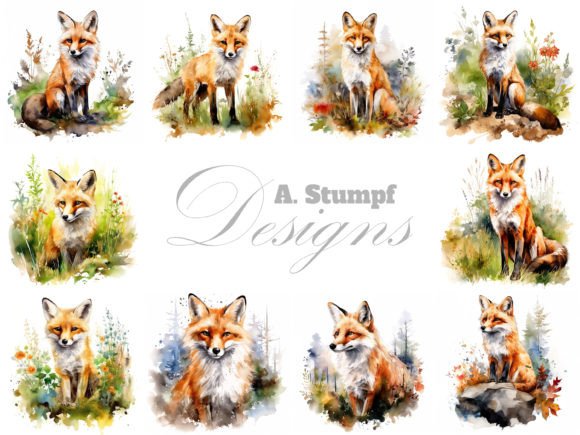 Fox in Natural Setting Watercolor Illustrations Review