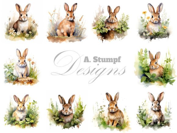 Rabbit Watercolor Illustrations for Brand Content