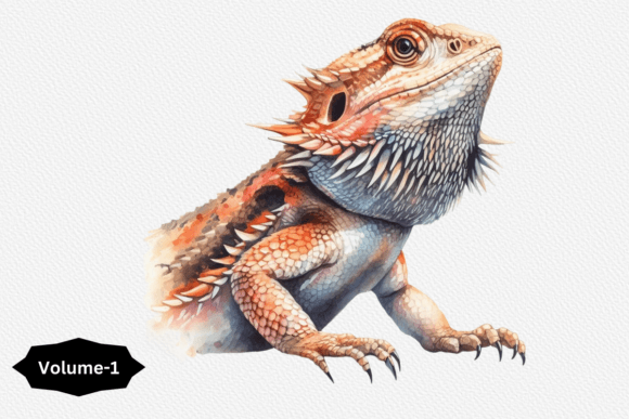 Watercolor Bearded Dragon Clipart Vol-1 Review