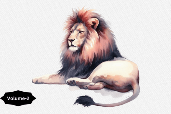Watercolor Lion Clipart PNG Volume 2 Illustrations